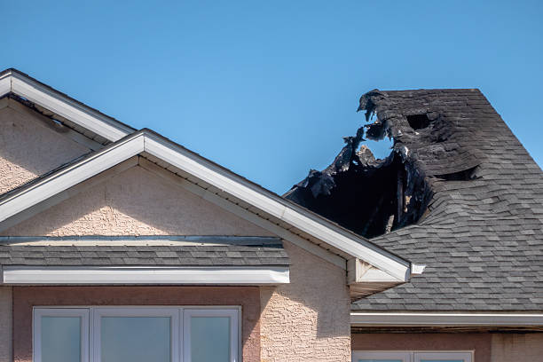 Licensed Fire Damage Removal service in Plato, MN - Fire Damage Biloxi